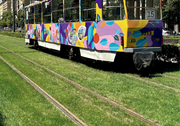 매립형 레일체결장치(SDS)